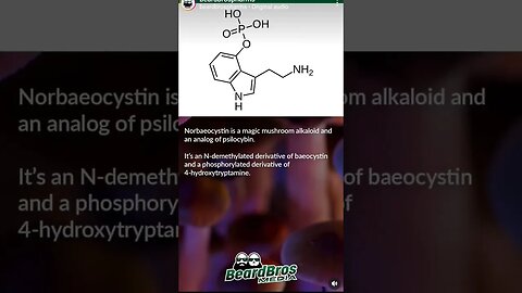 What is Norbaeocystin? - Magic Ingredient #shorts