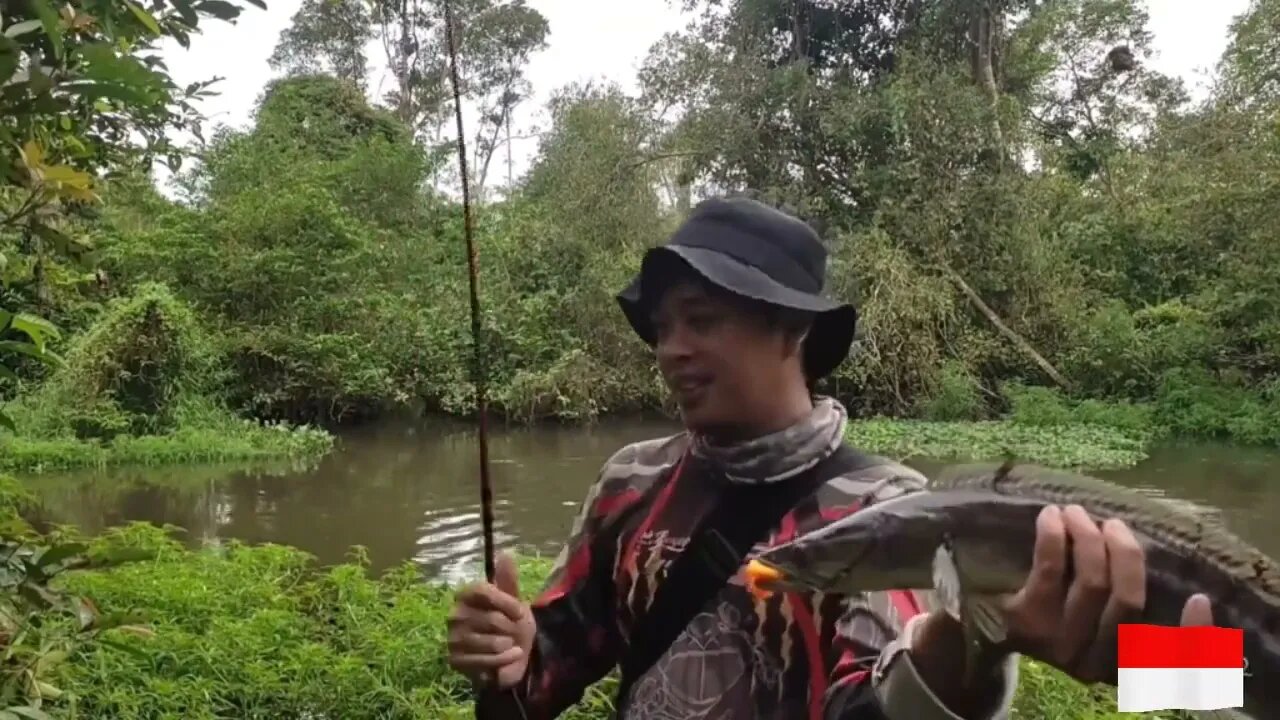 mancing ikan tomang