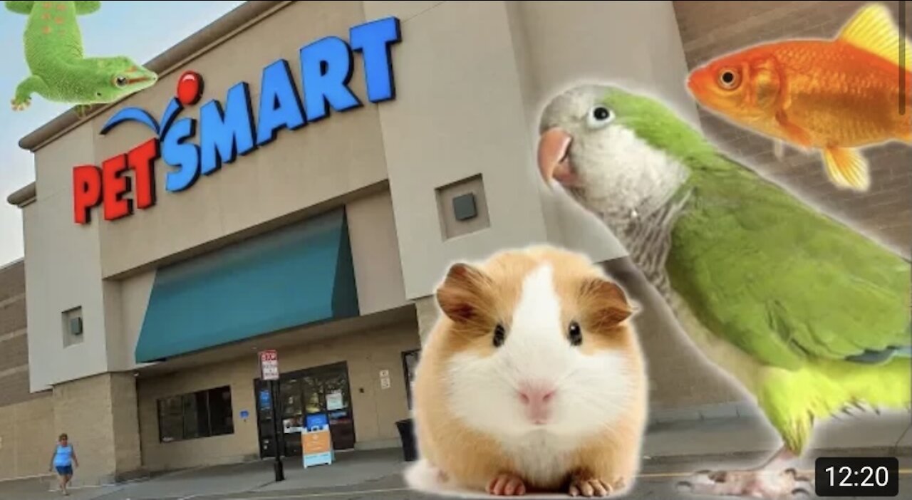 EXPLORING PETSMART ! ANIMAL FRIENDS