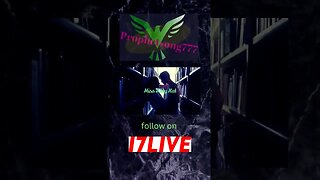 Miss Kitty performing live