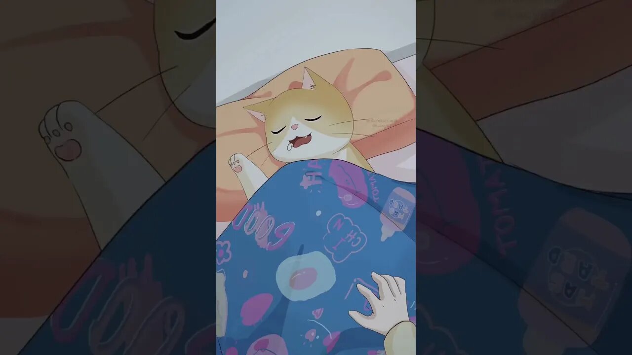 EKSPRESI KUCING YANG KEHILANGAN SELIMUTNYA #kisahnyata #kucing #neko #shorts