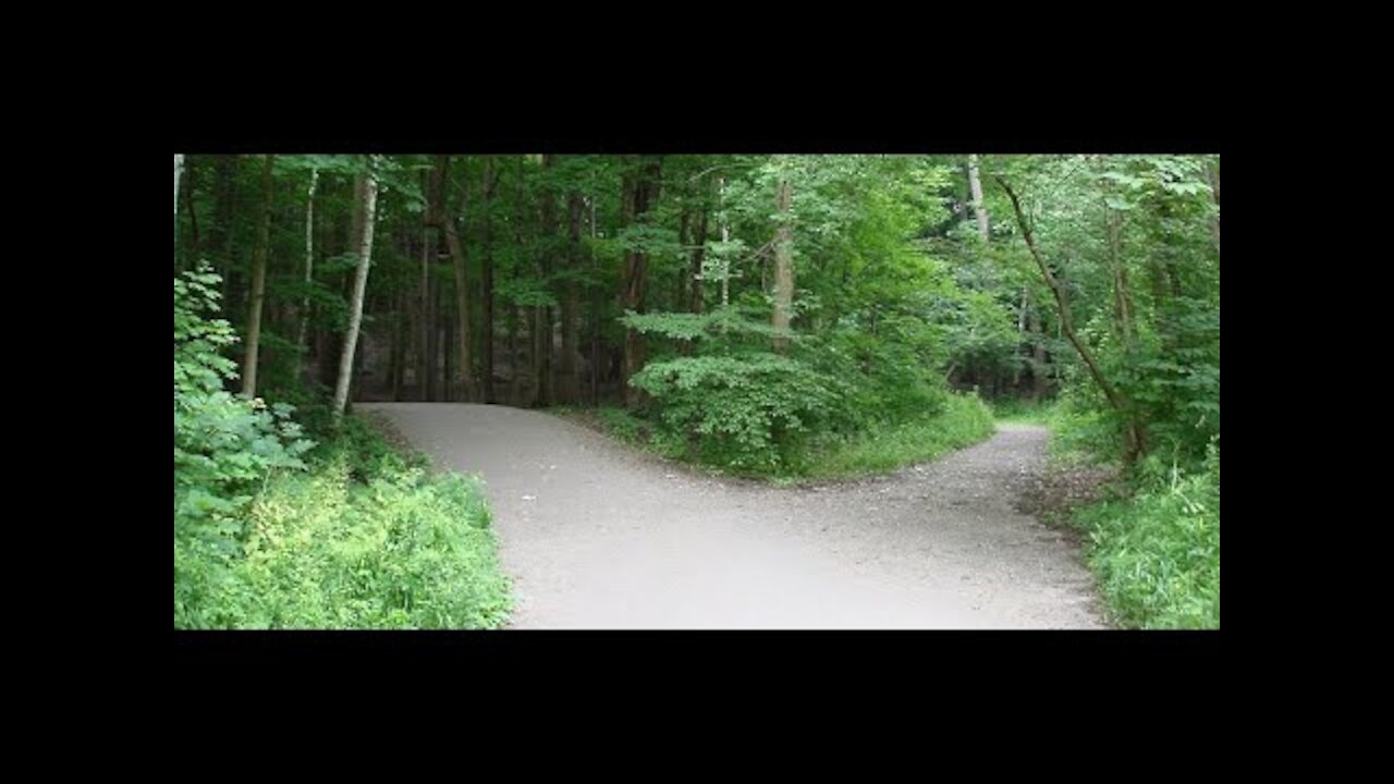 The News Less Travelled