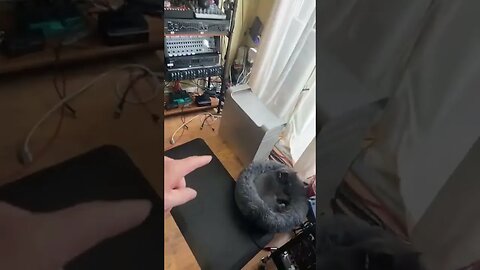 Blowing up Your Computer While Cracking Jokes About Tonys Electric Chair 🪑⚡️⚡️🤦🏻‍♂️💉❌❌🤕 Bummer