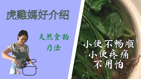 怎样解决湿热、小便不畅顺、小便刺痛 how to solving damp-heat, issues relating to urination