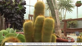 One Tank Trips: Powell Gardens, Kansas City's Botanical Garden