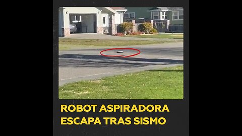 Tras terremoto, robot aspiradora ‘pasea libremente’ por las calles