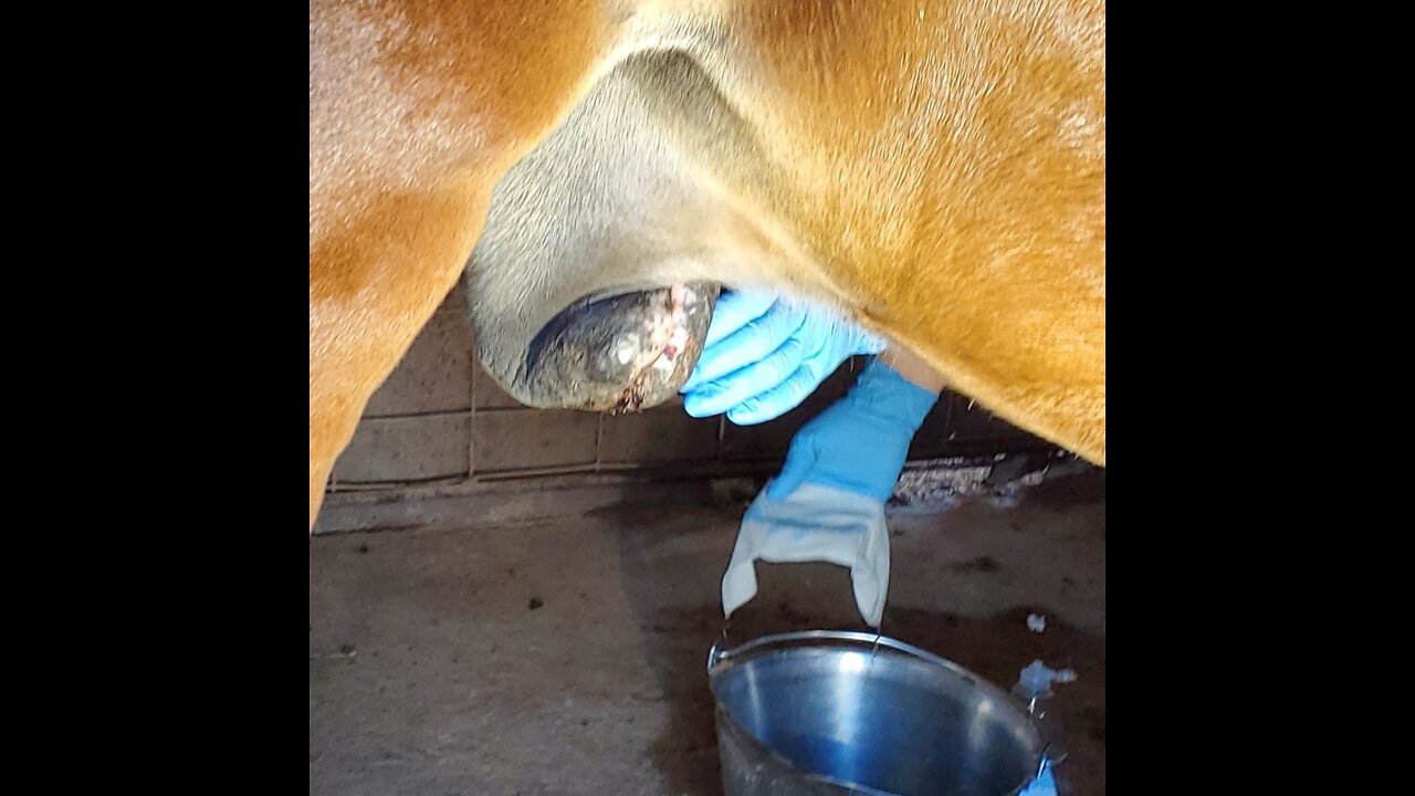 Ace sheath injury cleaning