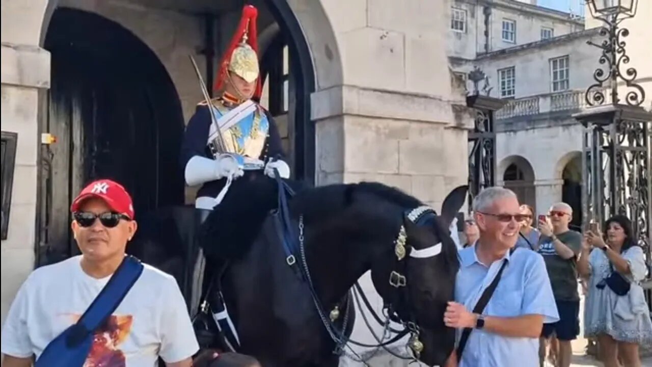 Horse leaves teeth marks on the tourist's arm #horseguardsparade