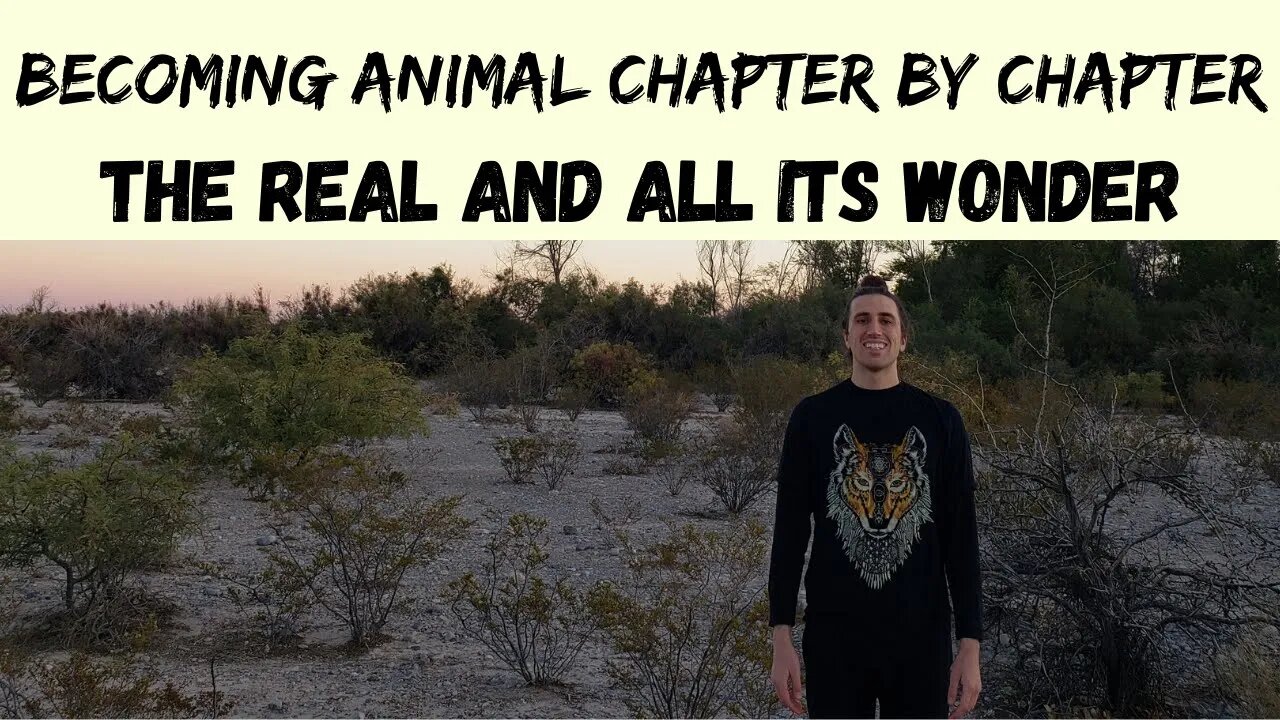 The Real and All Its Wonder - Becoming Animal by David Abram - The Spiritual Ecology Course