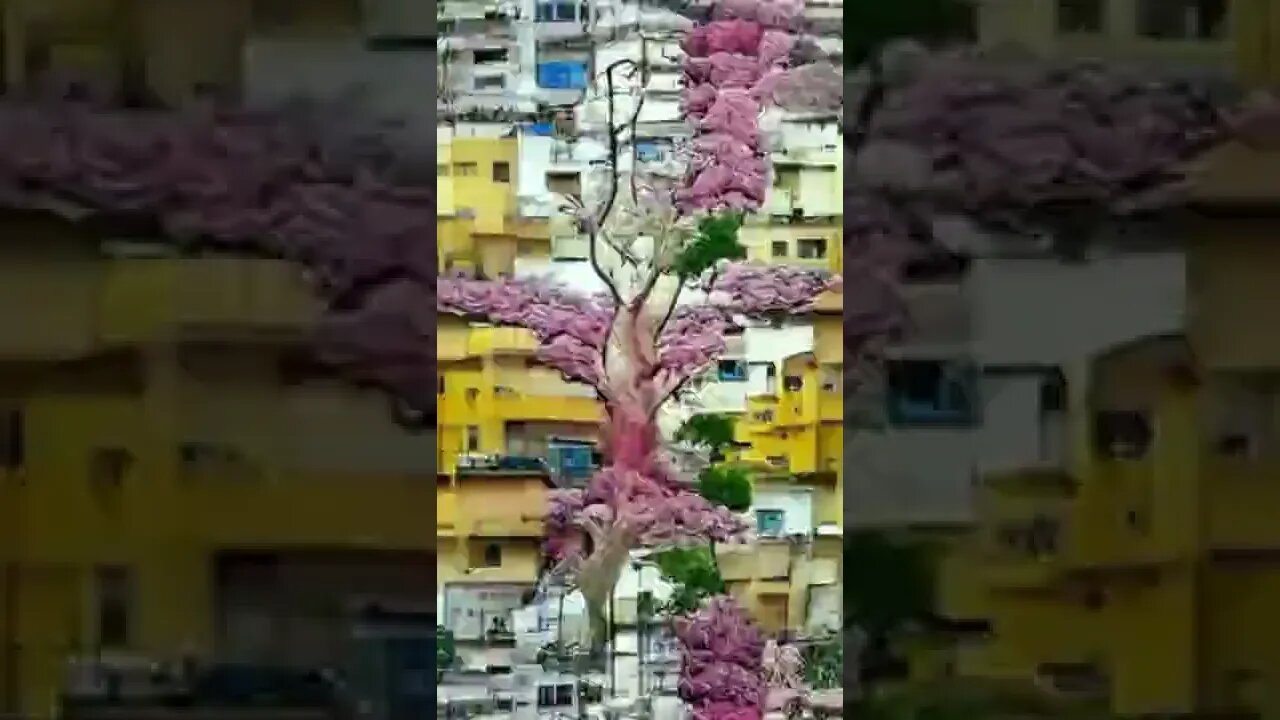 Animation -- the beauty of a tree in full bloom #shorts #art #painting