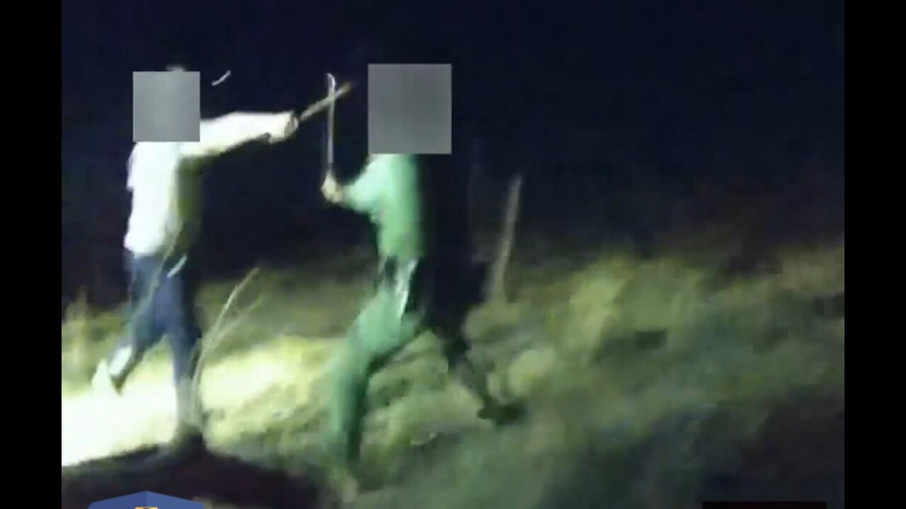 Border Patrol Shoots Driver After Being Struck By Wooden Club