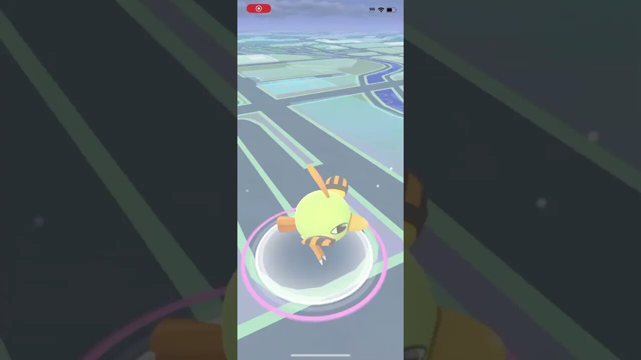 Shiny Compilation