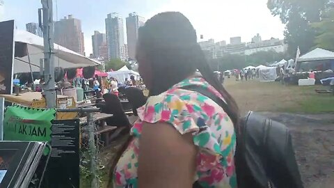 From the International African Arts Festival Brooklyn New York 2023 @iaafestival Brooklyn 7/4/2023.