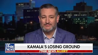 Ted Cruz says ‘I hate Donald Trump’ is Kamala Harris' answer to every question