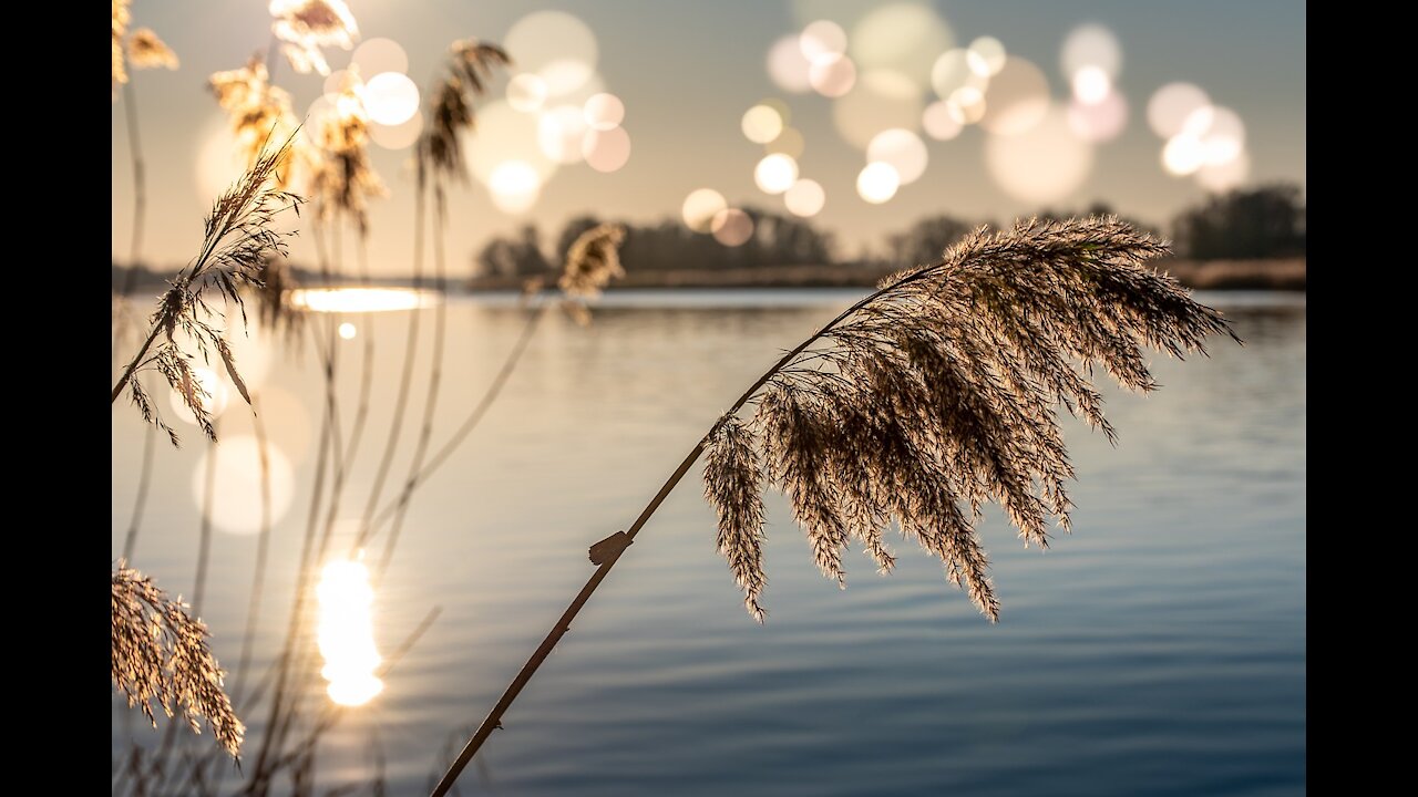 Relaxing Music for Stress Relief and Healing | Meditation Music, Soothing Music, Sleeping Music,