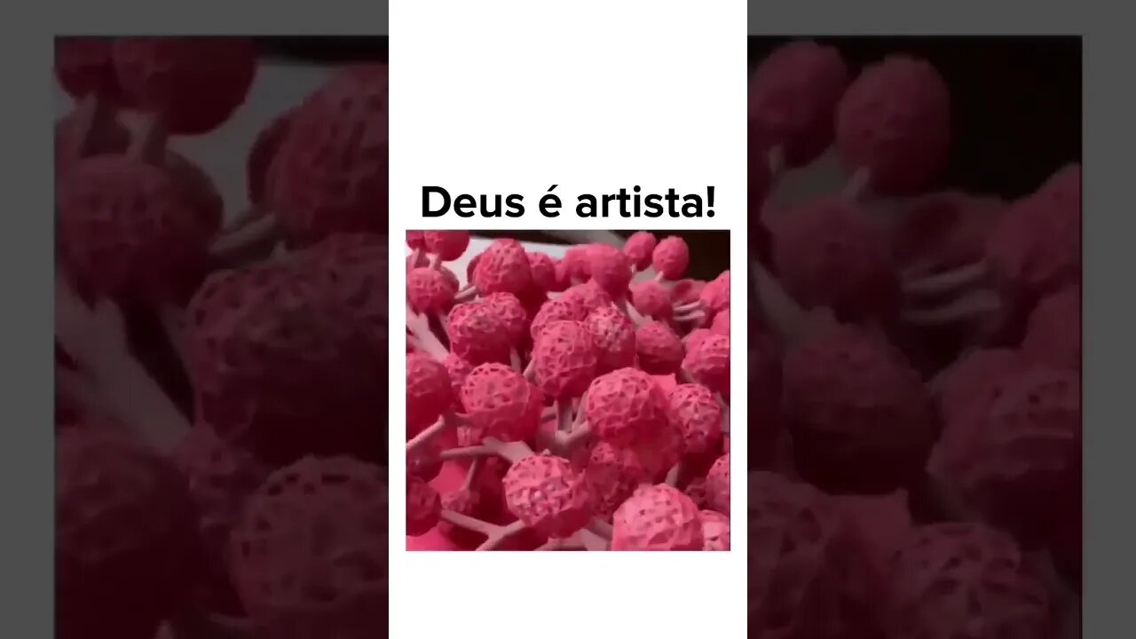 Impressionante