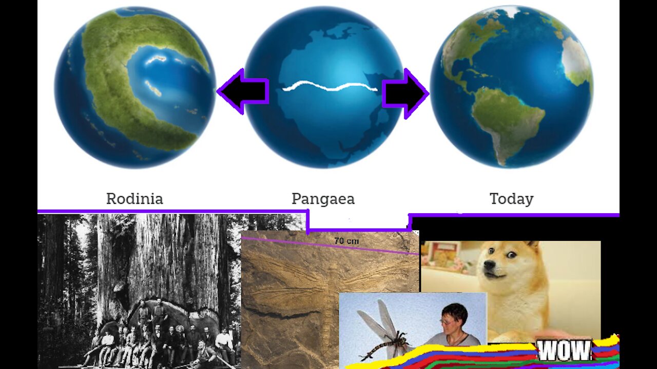 Pangea Before It Was Cool | What Caused The Worldwide Flood of Noah's Day? | IGH Video Excerpt 🌿🔬