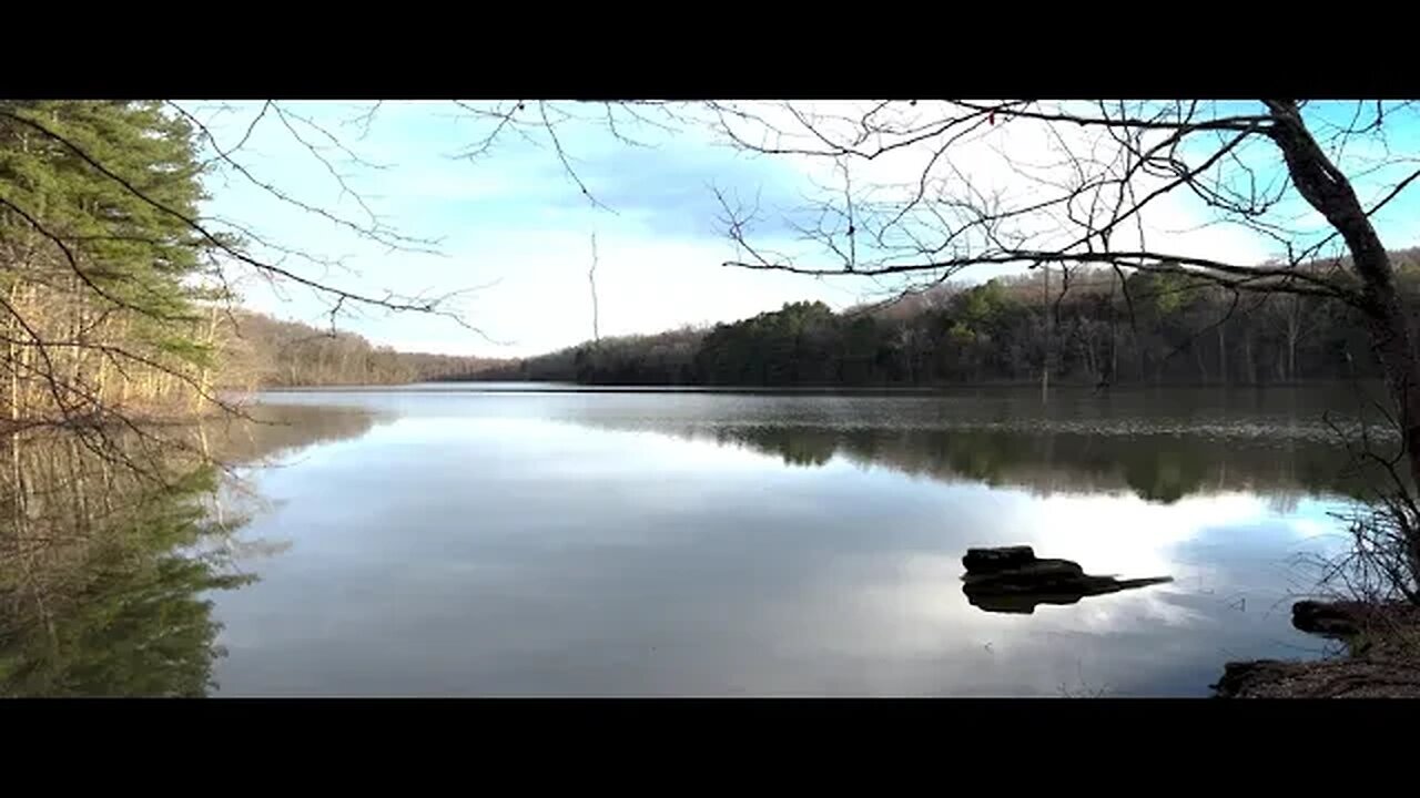 Ambient Lake Birds