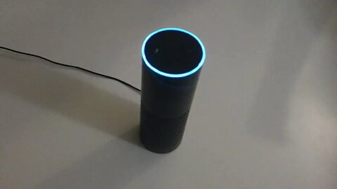Do snakes have tails - answered by Alexa - widescreen version