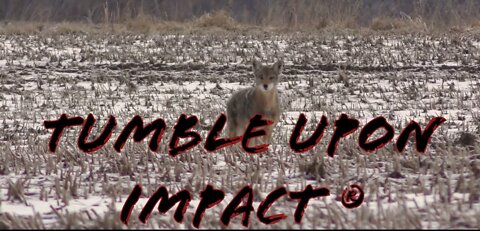 Best Hunting/Self Defense Ammo On the Market? | Fort Scott Munitions
