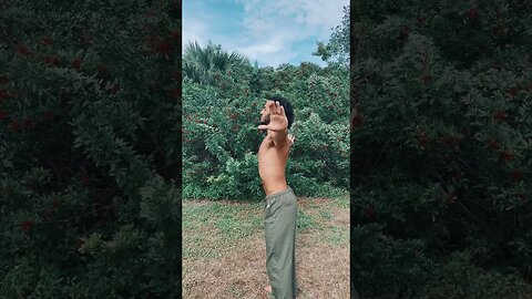 Qigong Basics: Lifting the Sky #shorts