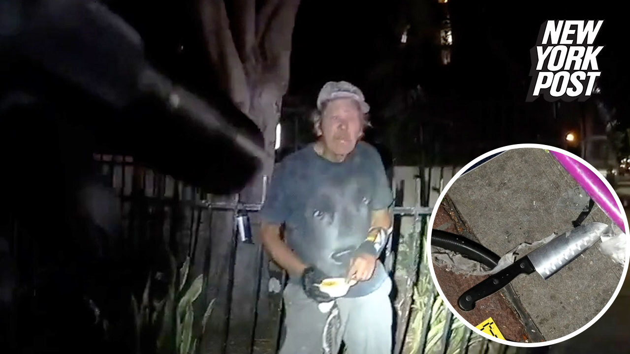 San Diego police shoot knife-wielding homeless man