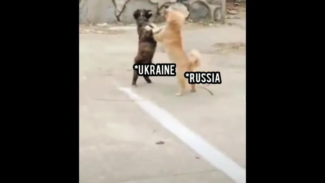 Russia-Ukraine war in a nutshell