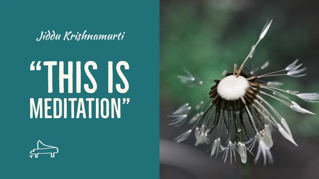 J Krishnamurti | “ This is meditation “ | immersive pointer | piano A-Loven