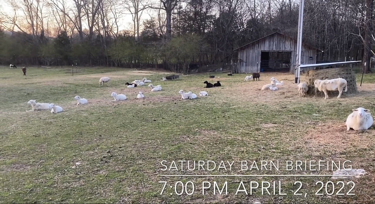 Barn Briefing 4-2-2022
