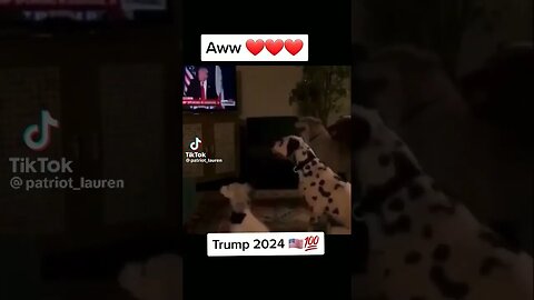 #sitdowncomedy go sit down you weren't called ✌😂