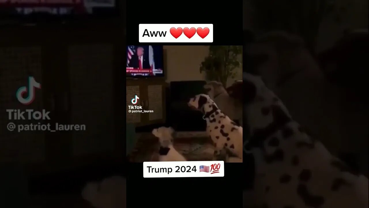 #sitdowncomedy go sit down you weren't called ✌😂