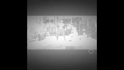 VID 22700510 003726 278