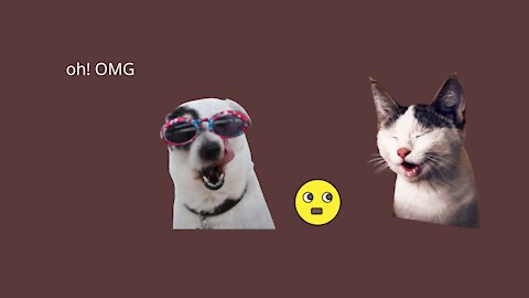 Cute Puppies Cute Funny and Smart Dogs Compilation 12 may 2021 cute buddies