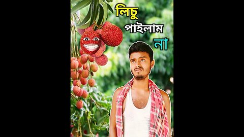 লিচু পাইলাম। শেষ পর্যন্ত দেখুন। পরিচালনা সেহাবীর হাসান তাজীম।