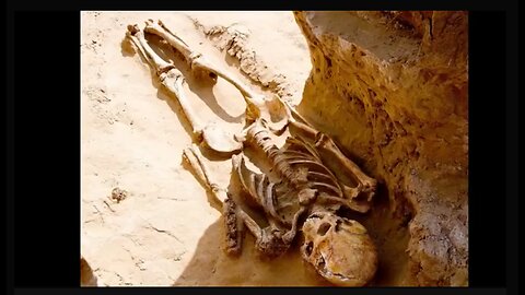 GIANT SKELETONS AND PETRIFIED REMAINS. WHEN THE WORLD WAS MUCH LARGER THAN IT IS NOW