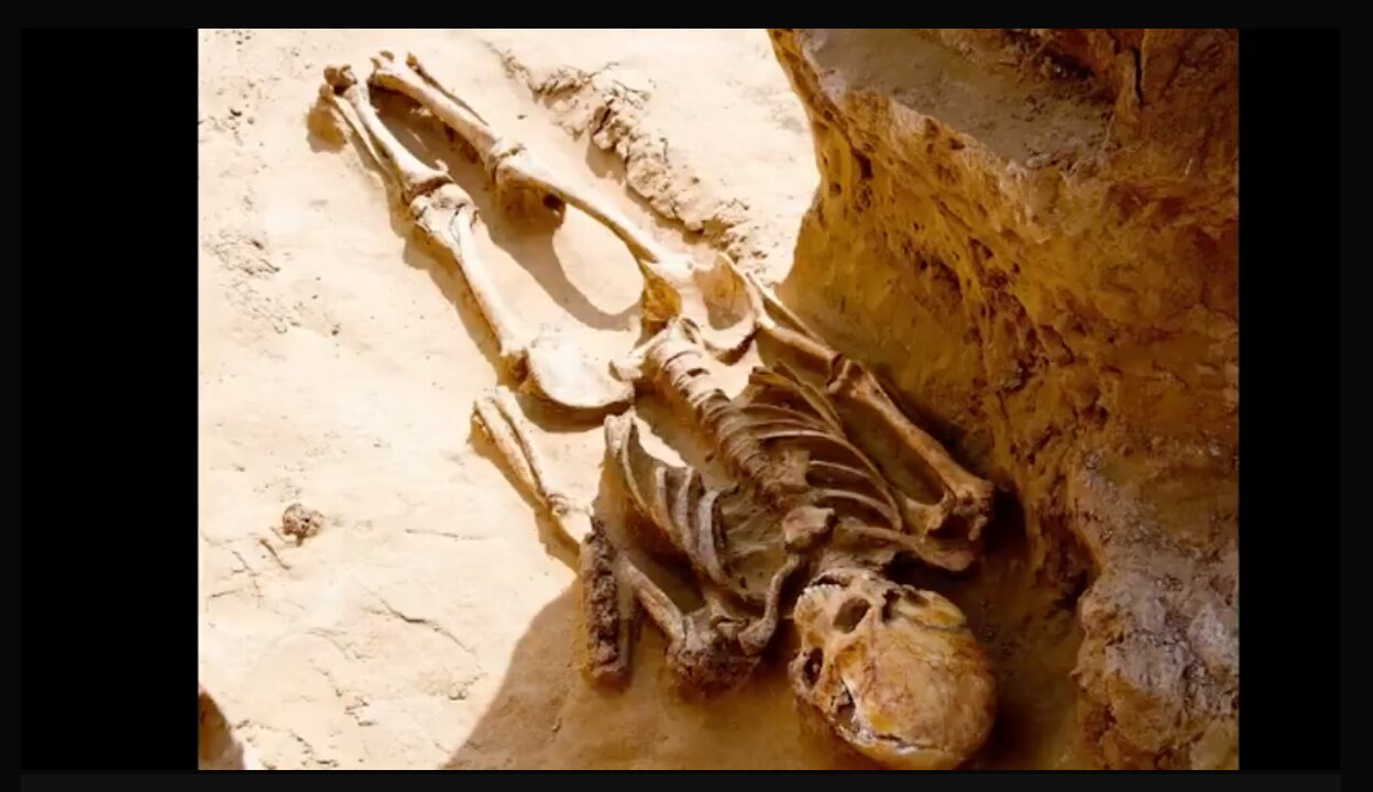 GIANT SKELETONS AND PETRIFIED REMAINS. WHEN THE WORLD WAS MUCH LARGER THAN IT IS NOW