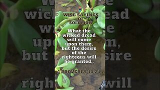 Wise Sayings of Solomon | Proverbs 10:24