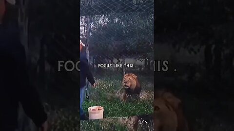 This is how focused YOU Need To BE!