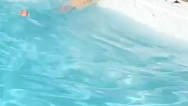 Golden Retriever just can’t reach his ball