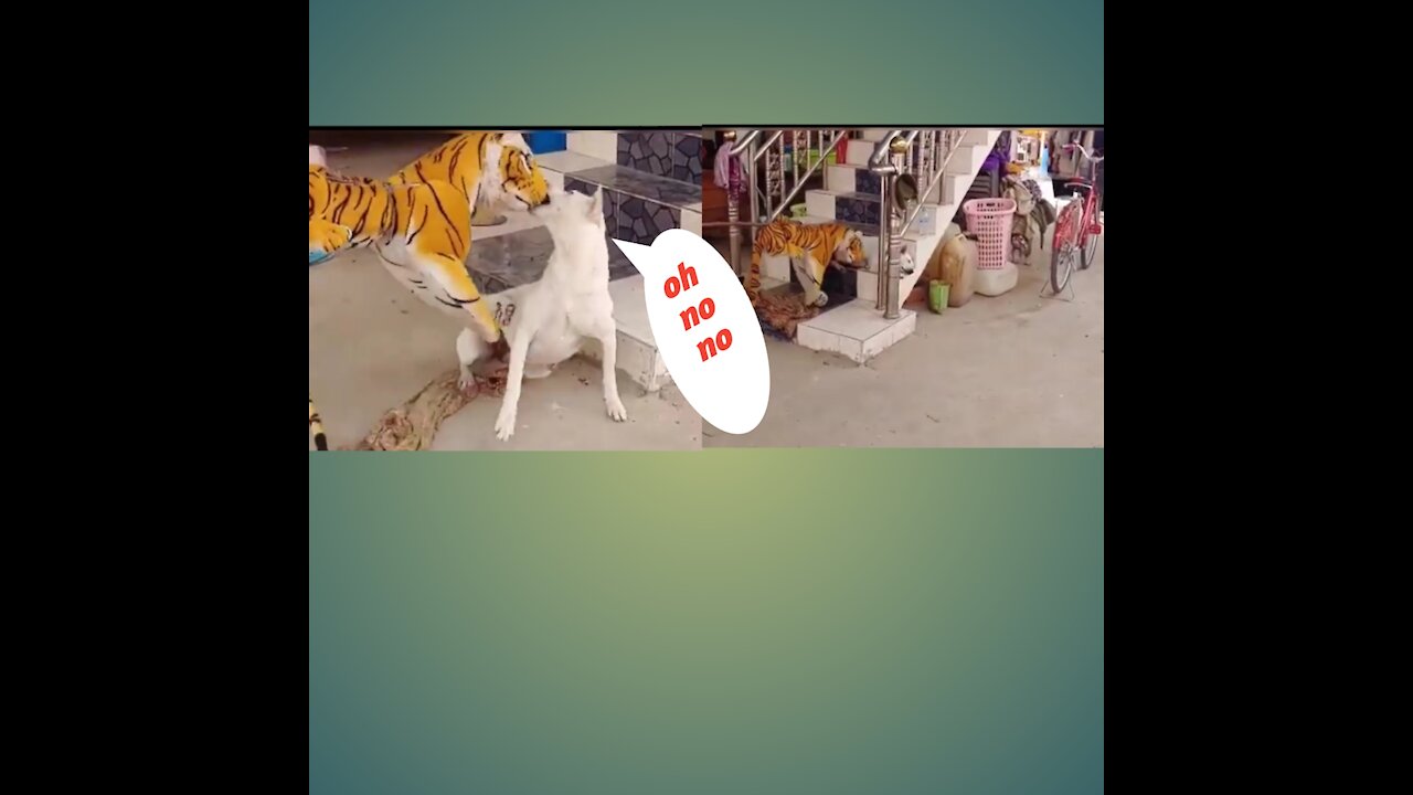 Wow Nice Fake Tiger Prank Dog! Dog Run Very Funny Prank Video