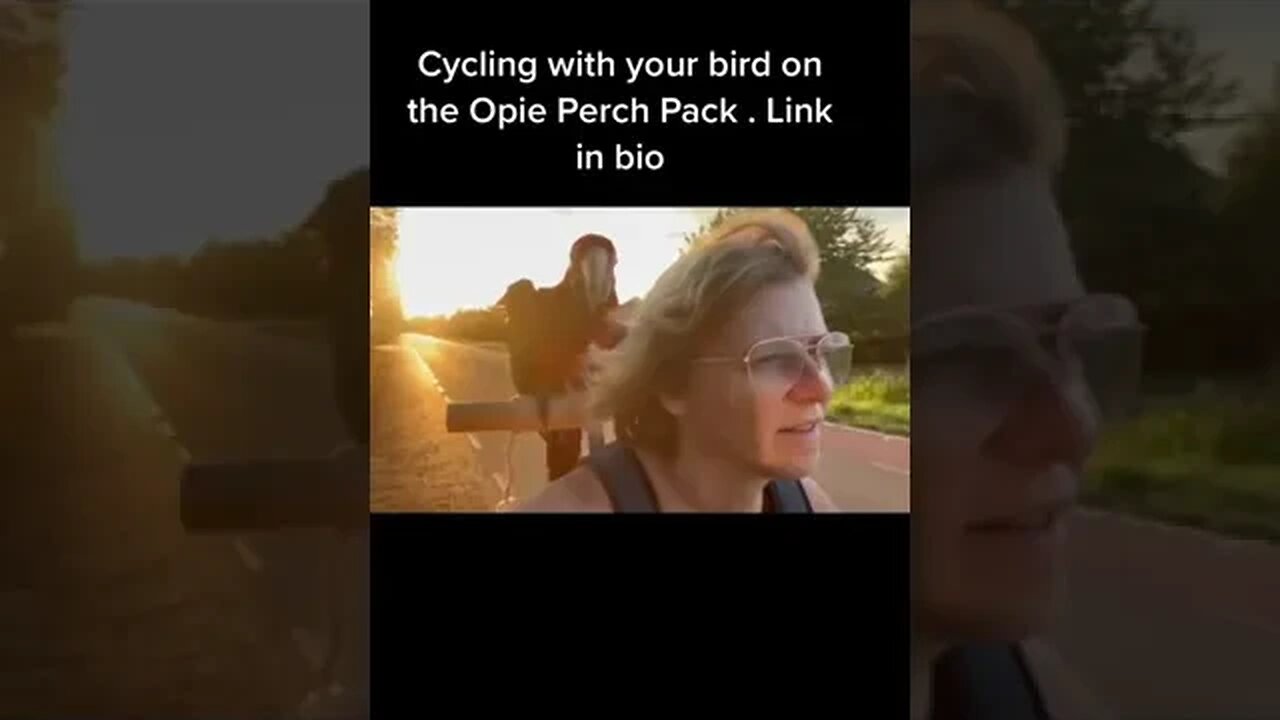 The eagle has no fear of adversity