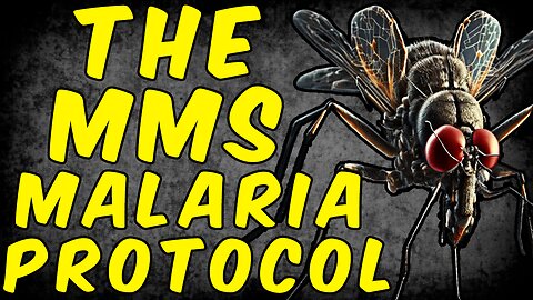 The MMS (Miracle Mineral Solution) Malaria Protocol