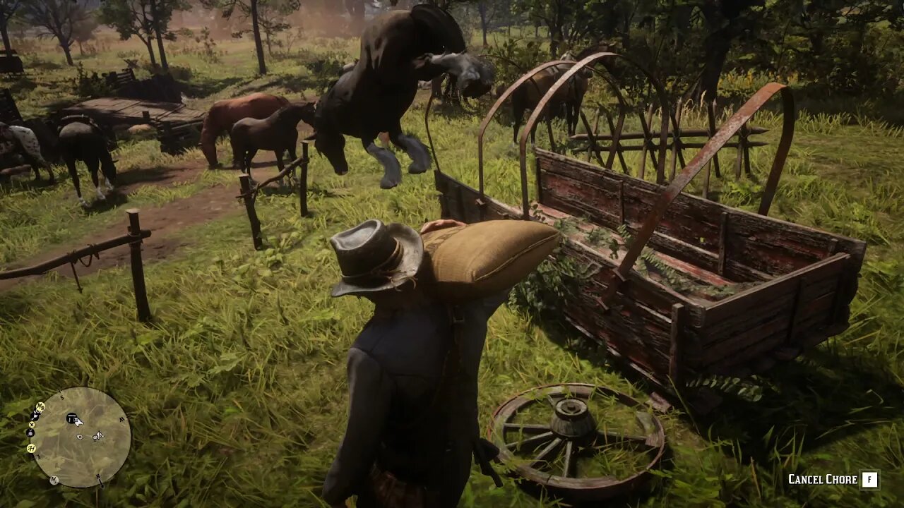 RDR2 | Horses aren't supposed to do that...