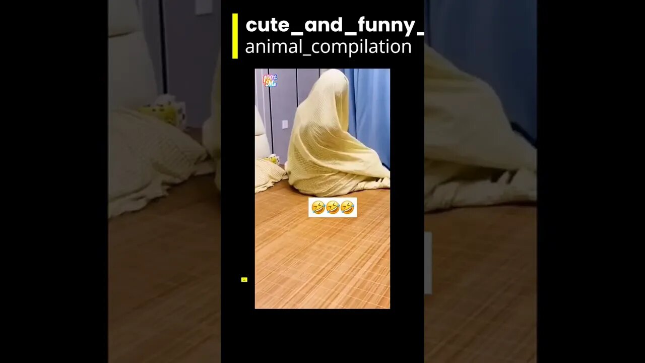 cute and funny animals compilation /you laugh😅, you lose😂