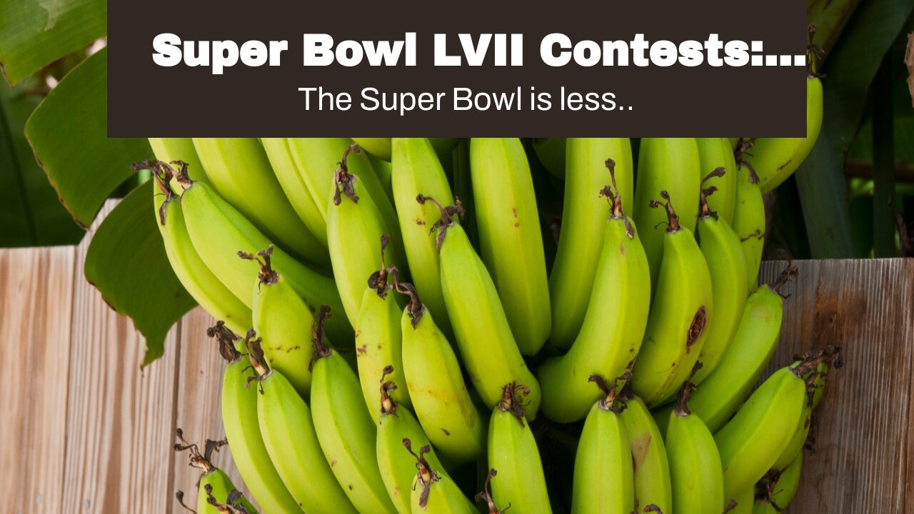 Super Bowl LVII Contests: Last Chance At $1M With Covers' Free Prop Challenge