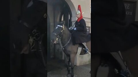Horse unsettled comes out of box #horseguardsparade