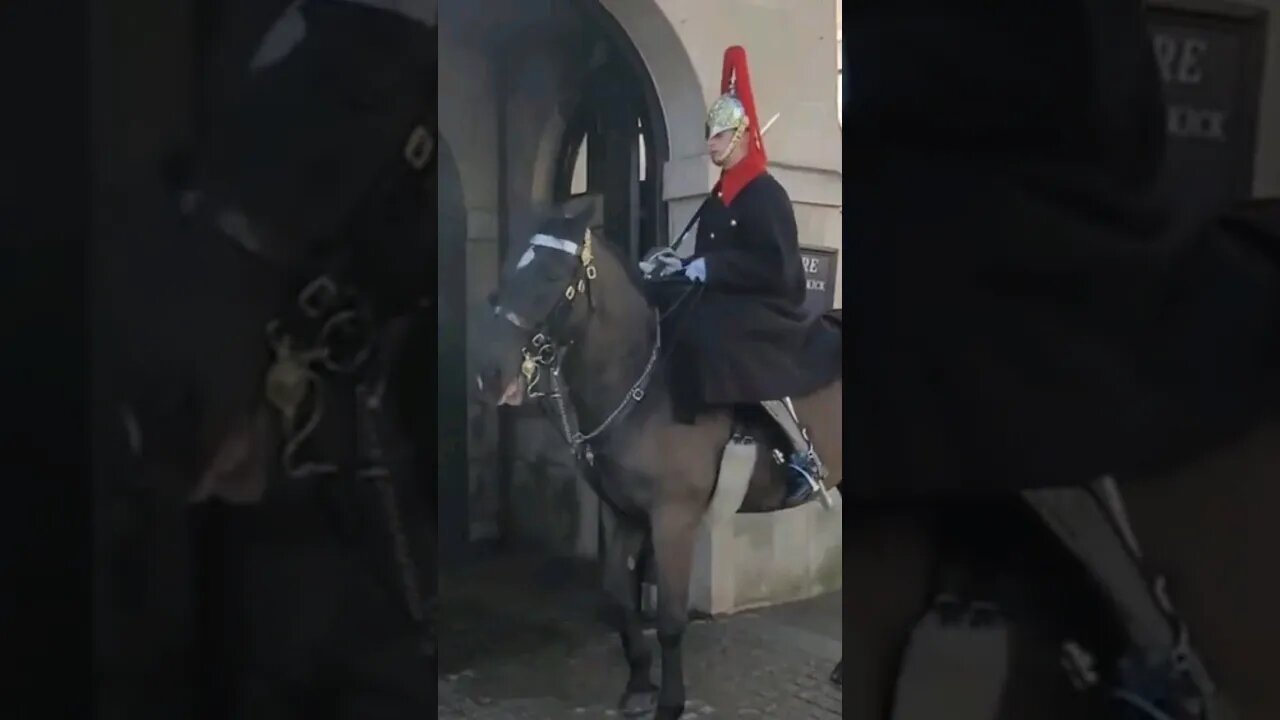 Horse unsettled comes out of box #horseguardsparade