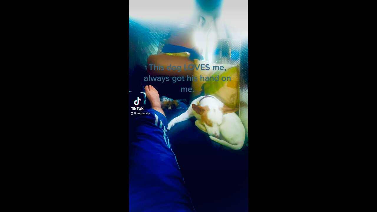 Croissant 🥐Victory