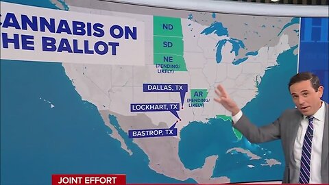 Trump Backs Florida Marijuana Legalization in Historic Policy Shift