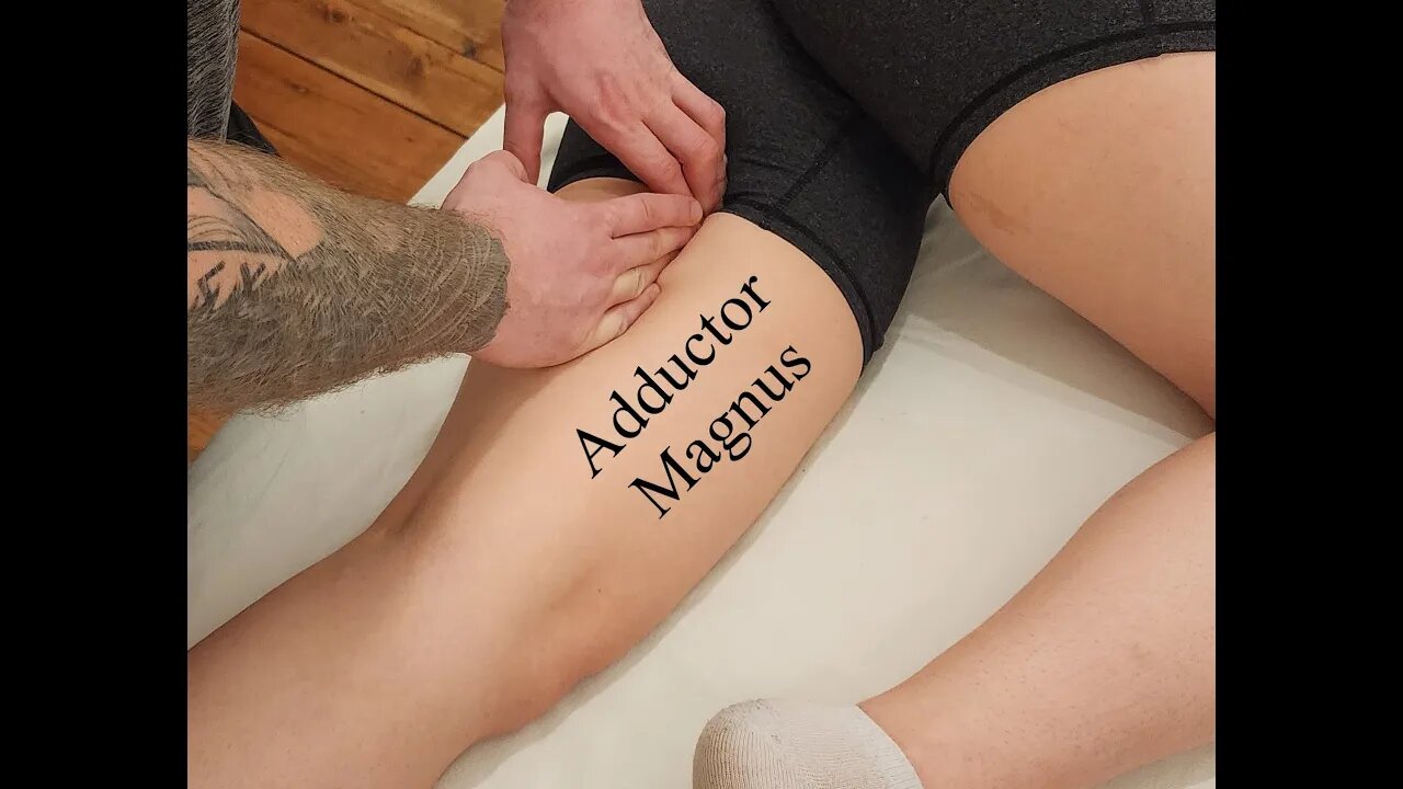 Muscle Palpation - Adductor Magnus (Adductor Group) [ASMR] [NEW]